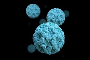 norovirus outbreak, prevention