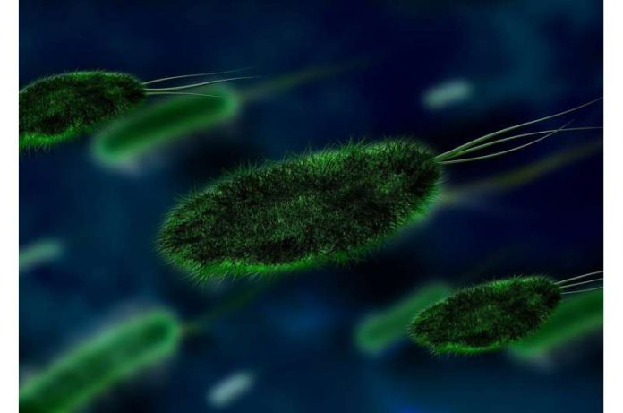 Treatment with Enzyme Inhibitor may help combat Antimicrobial Resistance Research
